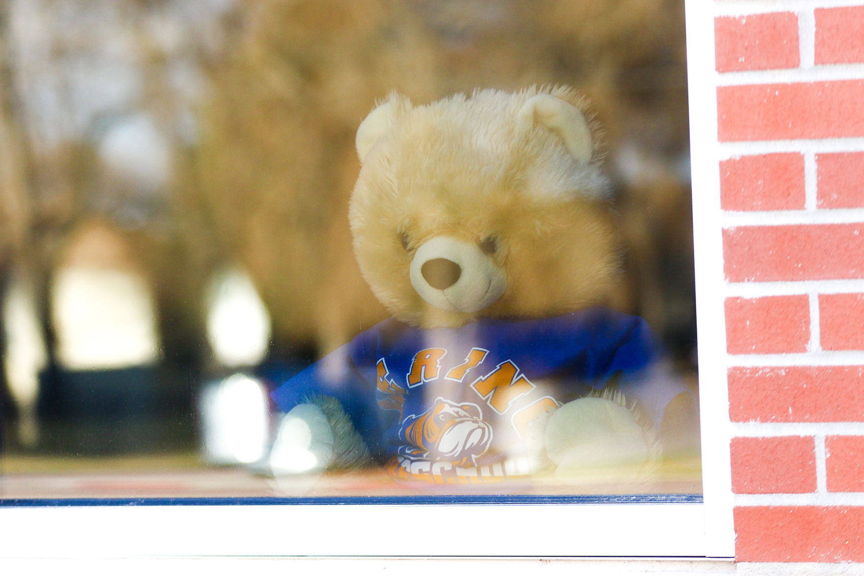 PHOTOS: Bear Hunt